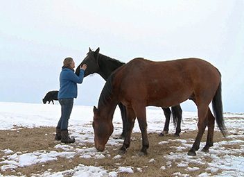 10 films sur le thème des funérailles 10 films sur le thème des funérailles
