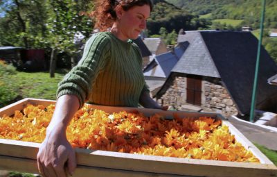 10 films sur le thème des funérailles 10 films sur le thème des funérailles