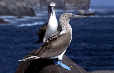 10 films sur le thème des funérailles 10 films sur le thème des funérailles