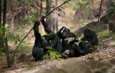 10 films sur le thème des funérailles 10 films sur le thème des funérailles