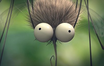 10 films sur le thème des funérailles 10 films sur le thème des funérailles