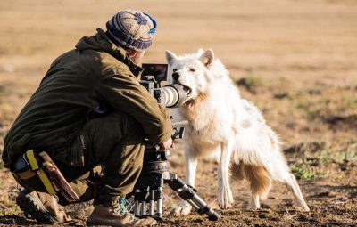 10 films sur le thème des funérailles 10 films sur le thème des funérailles