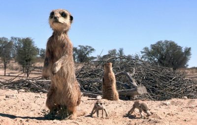 10 films sur le thème des funérailles 10 films sur le thème des funérailles