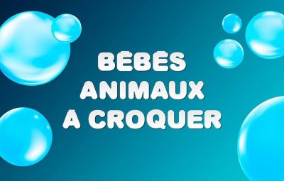 Les formations pour devenir conducteur de l’extrême Les formations pour devenir conducteur de l’extrême