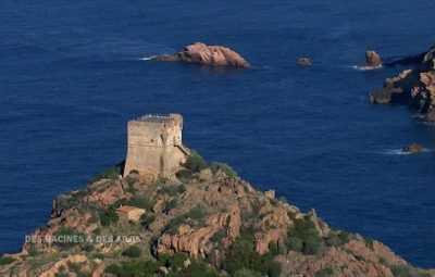 10 films sur le thème des funérailles