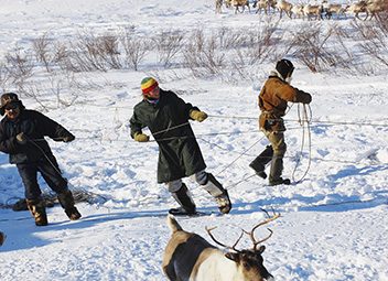Le rôle de la moto au cinéma