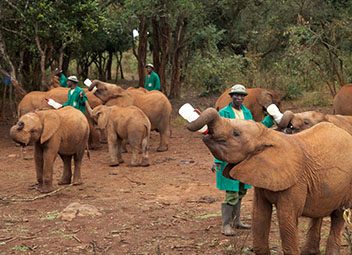 Le rôle de la moto au cinéma