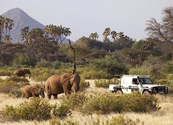 Le rôle de la moto au cinéma