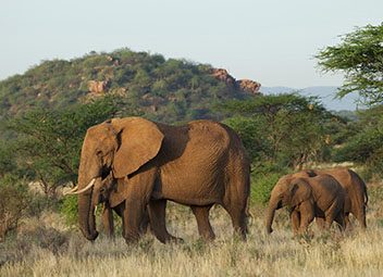 Le rôle de la moto au cinéma