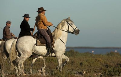 Le rôle de la moto au cinéma Le rôle de la moto au cinéma