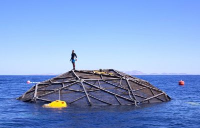 Le rôle de la moto au cinéma