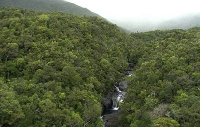 Le rôle de la moto au cinéma