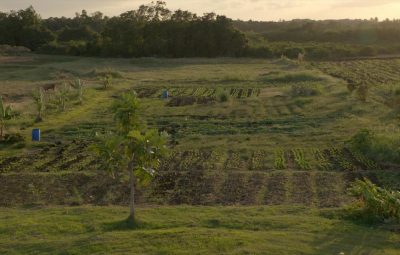 Le rôle de la moto au cinéma