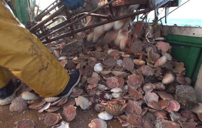 Le rôle de la moto au cinéma