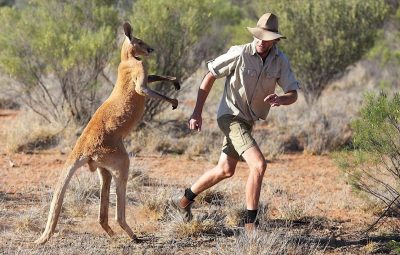 Le rôle de la moto au cinéma