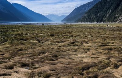 Le rôle de la moto au cinéma