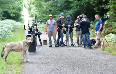 Le rôle de la moto au cinéma