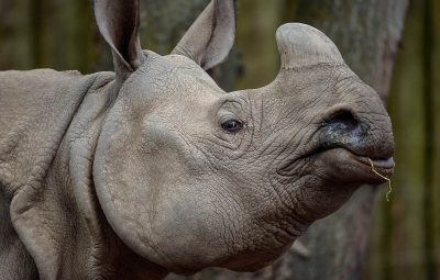 Le rôle de la moto au cinéma