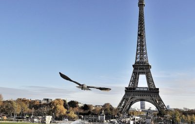 Le rôle de la moto au cinéma